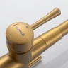 Смеситель для кухни Shevanik S428G цвет Золотой сатин