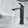 Смеситель для раковины Shevanik S6111H цвет Черный