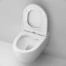 Комплект унитаза с инсталляцией AM.PM Awe FlashClean IS49038.111700 с сиденьем Микролифт и Черной матовой клавишей смыва фарфор подвесной