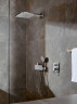 Верхний душ Hansgrohe Raindance 26238670 Черный матовый латунь на стену