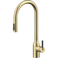 Смеситель для кухни Paulmark Universal Un213880-SBG Светлое брашированное золото латунь