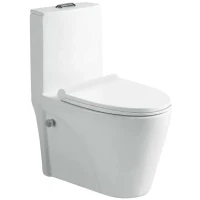 Унитаз биде SantiLine SL-5012SM-BD с сиденьем Микролифт фаянс напольный