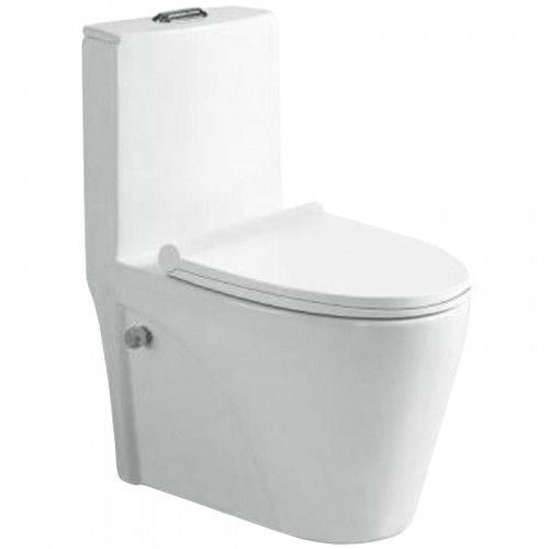 Унитаз биде SantiLine SL-5012SM-BD с сиденьем Микролифт фаянс напольный