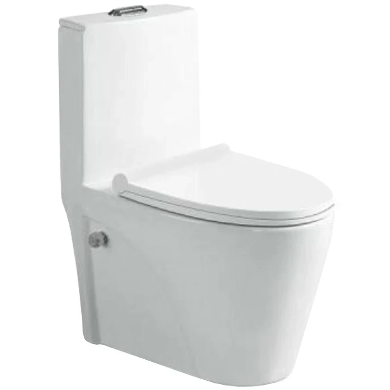Унитаз биде SantiLine SL-5012SM-BD с сиденьем Микролифт фаянс напольный