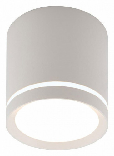 Накладной светильник Denkirs DK401 DK4013-WH