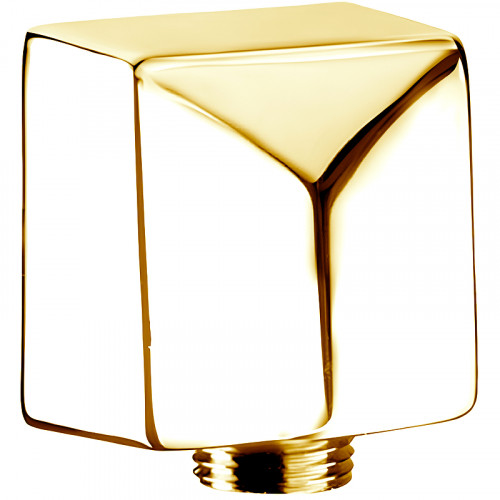 Шланговое подключение Remer 309SBG Золото брашированное латунь на стену