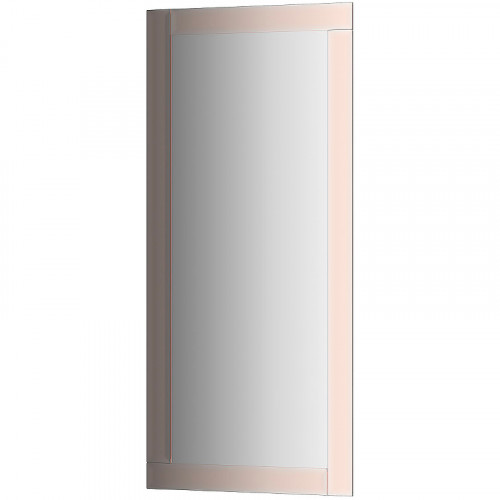 Зеркало Evoform Style 110x50 BY 0816 с зеркальным обрамлением - цвет Бронза