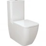 Унитаз компакт Allen Brau Infinity 4.21001.20 Белый без бачка и сиденья фаянс напольный