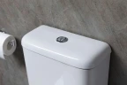 Унитаз компакт Allen Brau Infinity 4.21001.20 Белый без бачка и сиденья фаянс напольный