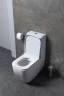 Унитаз компакт Allen Brau Infinity 4.21001.20 Белый без бачка и сиденья фаянс напольный