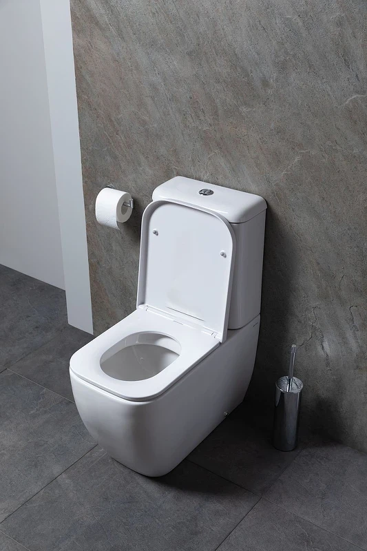 Унитаз компакт Allen Brau Infinity 4.21001.20 Белый без бачка и сиденья фаянс напольный