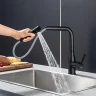 Смеситель для кухни Frap F6096-6 цвет Черный матовый