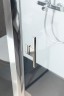 Душевая дверь Allen Brau Priority 120 3.31007.00 профиль Хром стекло прозрачное