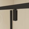 Душевой уголок RGW Classic CL-046B 100x80 350904608-14 профиль Черный матовый стекло прозрачное