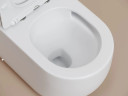 Унитаз-компакт Ceramicanova Метрополь (Metropol) CN4001TMW цвет Белый матовый с бачком и сиденьем Микролифт