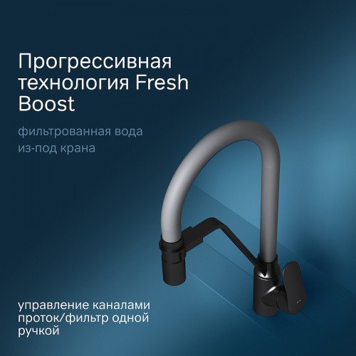 Смеситель для кухни AM.PM Like F8007825 Черный матовый Серый латунь