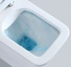 Унитаз компакт Iberica Blanca Toledo IB.TLD.121.1B1 с бачком и сиденьем Микролифт