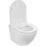 Комплект унитаза WeltWasser Merzbach 043 GL-WT 10000009939 с инсталляцией Berges Novum L5 040215 с сиденьем Микролифт и Черной матовой клавишей смыва фаянс подвесной