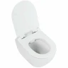 Унитаз Cezares Stylus CZR-513-TH-R/CZR-2011-SC подвесной с сиденьем Микролифт фаянс подвесной