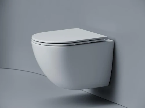 Унитаз подвесной Ceramicanova Альба (Alba) CN11005T цвет Белый с сиденьем Микролифт
