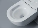 Унитаз подвесной Ceramicanova Альба (Alba) CN11005T цвет Белый с сиденьем Микролифт