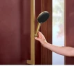Душевой гарнитур Hansgrohe Alive Select S 24601140 цвет Шлифованная бронза