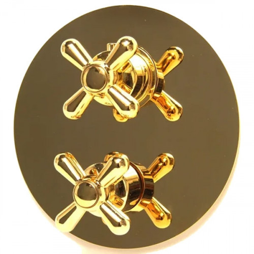 Смеситель для душа Webert Armony AM970903010 Золото встраиваемый