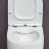 Унитаз с инсталляцией Ceramicanova Play CN3001 + Berges Novum L3 040213 с сиденьем Микролифт и клавишей смыва Хром