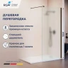 Душевая перегородка RGW Walk In (Волк-ин) WA-210B 70 351021007-24 профиль Черный стекло матовое