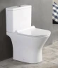 Унитаз компакт Azario Verde AZ-2224 с бачком и сиденьем Микролифт фаянс напольный