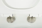 Унитаз Cezares Stylus-Tor CZR-6601-TH-TOR/CZR-2011-SC подвесной с сиденьем Микролифт фаянс подвесной