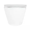 Унитаз Azario Songo AZ-5180T-WHT подвесной цвет Белый с сиденьем Микролифт