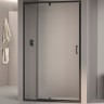 Душевая дверь RGW Passage PA-008B 80 350800889-14 профиль Черный стекло прозрачное