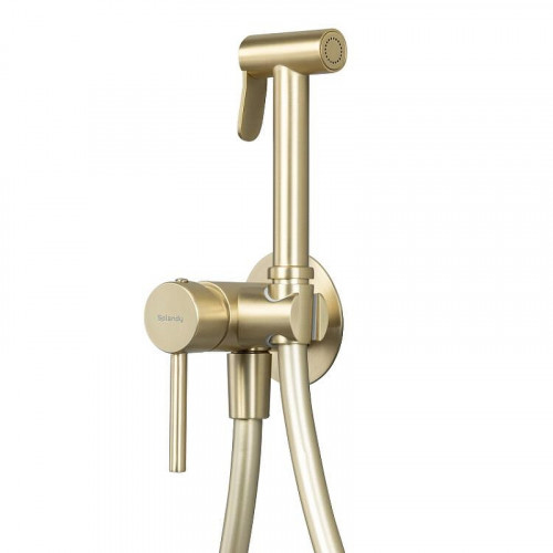 Гигиенический душ со смесителем Splendy Joy JO219YU1KLGM цвет Золото матовое