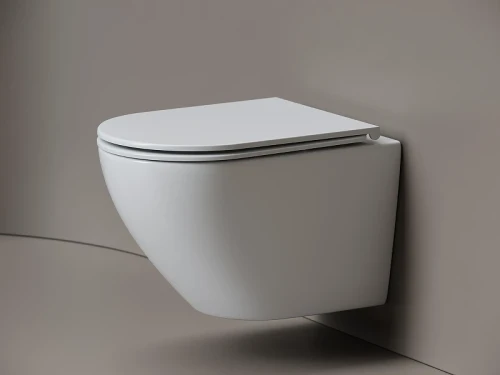 Унитаз подвесной Ceramicanova Вихрь (Whirl) CN11007T цвет Белый с сиденьем Микролифт