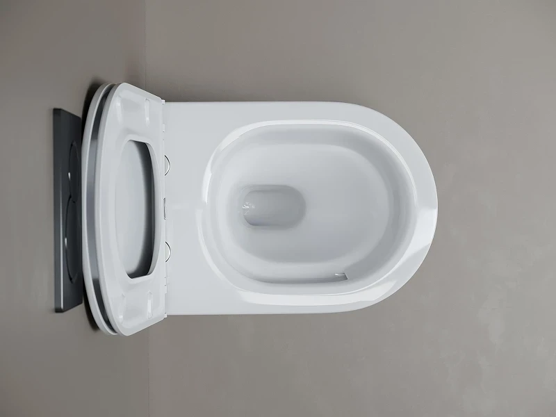 Унитаз подвесной Ceramicanova Вихрь (Whirl) CN11007T цвет Белый с сиденьем Микролифт