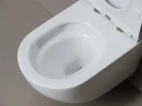 Унитаз подвесной Ceramicanova Вихрь (Whirl) CN11007T цвет Белый с сиденьем Микролифт