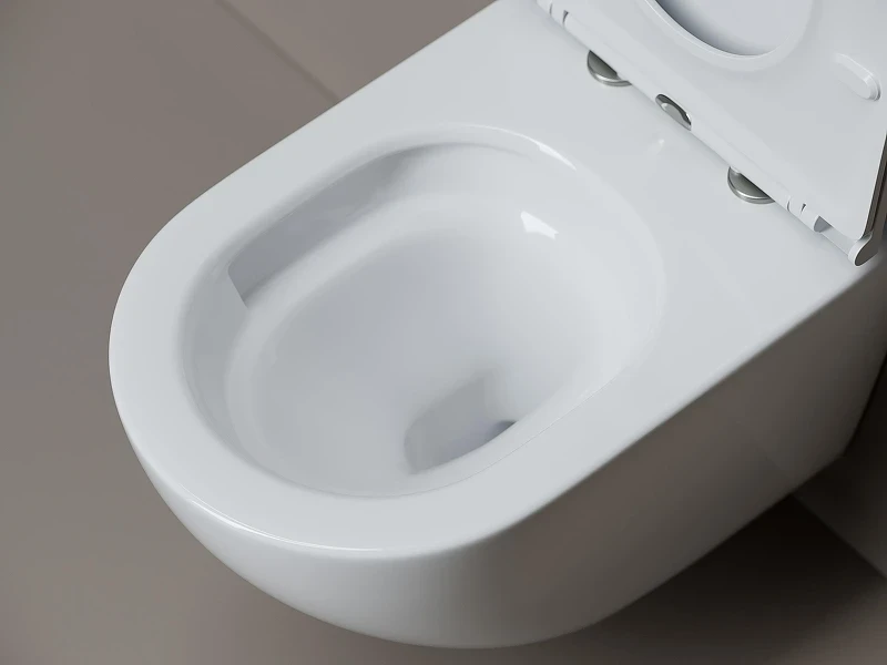 Унитаз подвесной Ceramicanova Вихрь (Whirl) CN11007T цвет Белый с сиденьем Микролифт