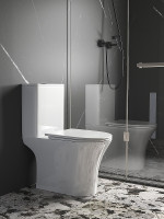 Унитаз компакт Ceruttispa Bernina CT11133 цвет Белый с сиденьем Микролифт