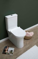 Чаша унитаза-компакта Aquanet Roll-C 210764 без бачка, с сиденьем Микролифт фаянс напольный