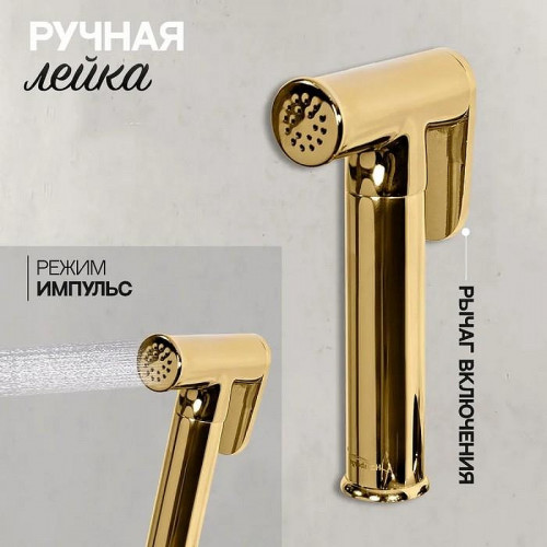 Гигиенический душ со смесителем Hansberge Nordic H3099GO Золото