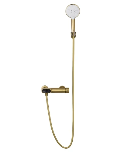 Смеситель для душа Wonzon & Woghand Muse WW-A30902-BG цвет Брашированное золото