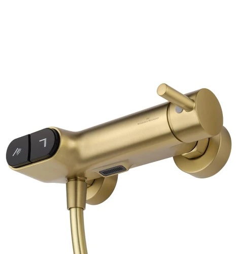 Смеситель для душа Wonzon & Woghand Muse WW-A30902-BG цвет Брашированное золото