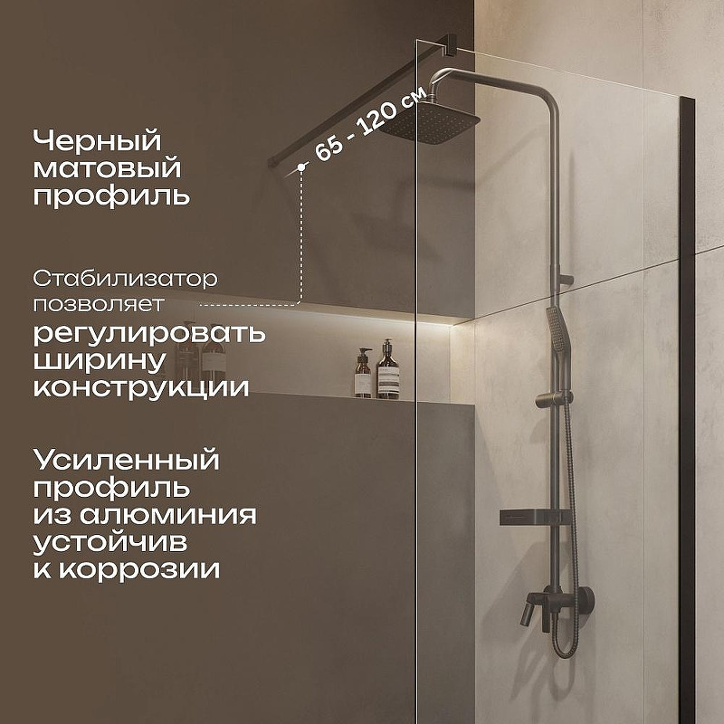 Душевая перегородка DIWO Орел 70 DS-OR-70-BL профиль Черный матовый стекло прозрачное