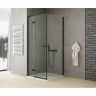 Душевое ограждение New Trendy REFLEXA Black x120 EXK-4966