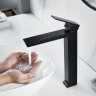 Смеситель для раковины Rose R18H R1811H-1 Черный матовый латунь