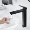 Смеситель для раковины Rose R18H R1811H-1 Черный матовый латунь