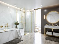 Ручной душ Hansgrohe Raindance Select S 26530990 Полированное золото латунь