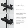 Душевая система WasserKRAFT A29901 с термостатом Черная матовая латунь на стену