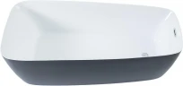 Акриловая ванна Aquanet Family Trend 90778-MW-MB 170x78 293087 цвет Черный матовый Белый
